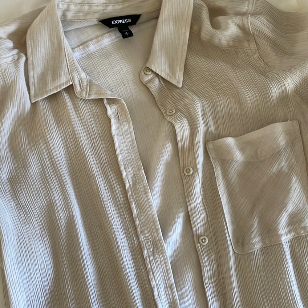 Express Sheer Cream Button Down